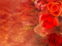 /album/photo-gallery-ljubov-i-romantika/love-and-romance-wallpapers-041-jpg/